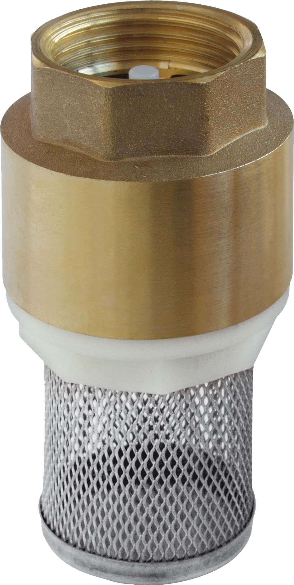 Rückschlagventil Messing VFF 1" IG, mit Edelstahlfilter Inox
